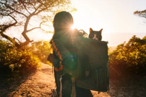 ¿Qué llevamos cuando vamos de paseo con mascotas?