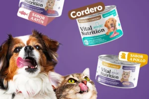 ¿Tu mascota ya no disfruta su comida como antes?