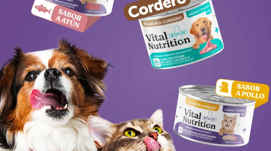 ¿Tu mascota ya no disfruta su comida como antes?