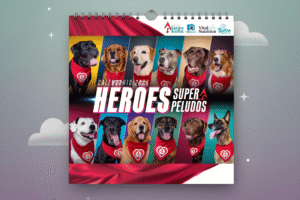 visualización del calendario