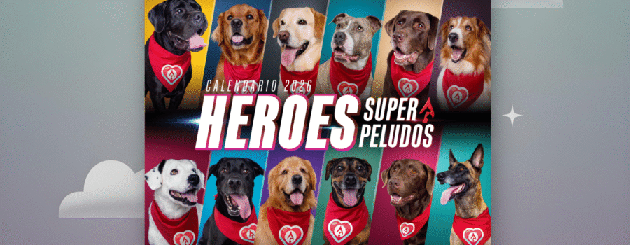 visualización del calendario