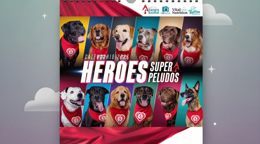 visualización del calendario