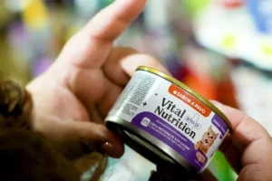 ¿Le Estás Dando a tu Mascota la Proteína que Realmente Necesita?