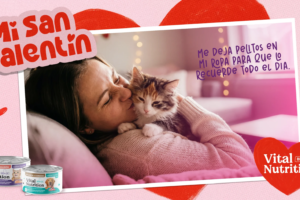 El Lenguaje del Amor: Cómo la Relación con Nuestras Mascotas Nos Llena Felicidad