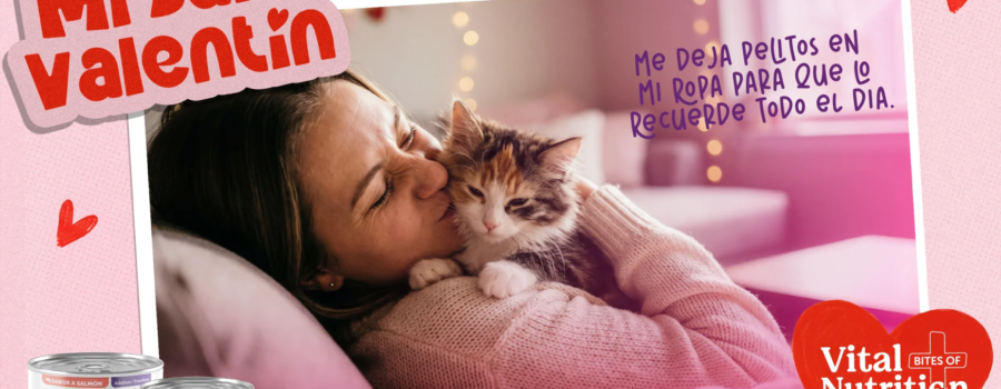 El Lenguaje del Amor: Cómo la Relación con Nuestras Mascotas Nos Llena Felicidad