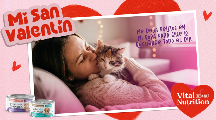 El Lenguaje del Amor: Cómo la Relación con Nuestras Mascotas Nos Llena Felicidad